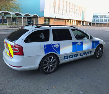 Dog unit car